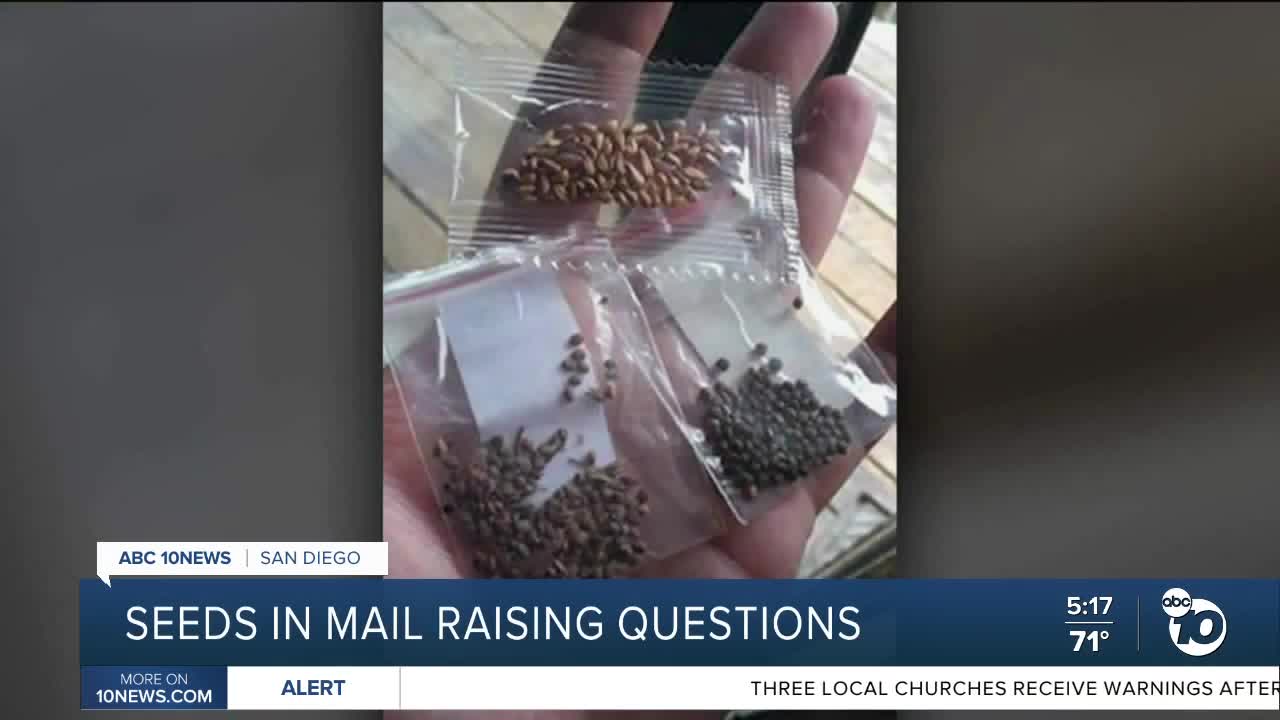 San Diego County residents receive mysterious seeds from China