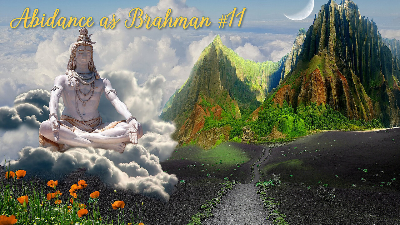 ABIDANCE AS BRAHMAN #11 - Discussions on Advaita with Sacchidananda Acharya & student Subodhananda