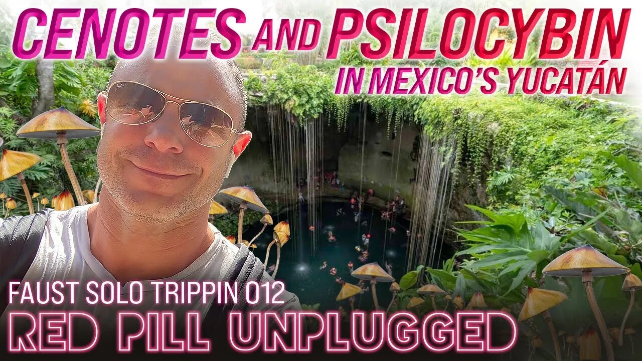 Cenotes and Psilocybin | Red Pill Unplugged Vlog | VLOG 012