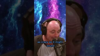 We might be the only advanced species in the cosmos according to Joe Rogan #shorts