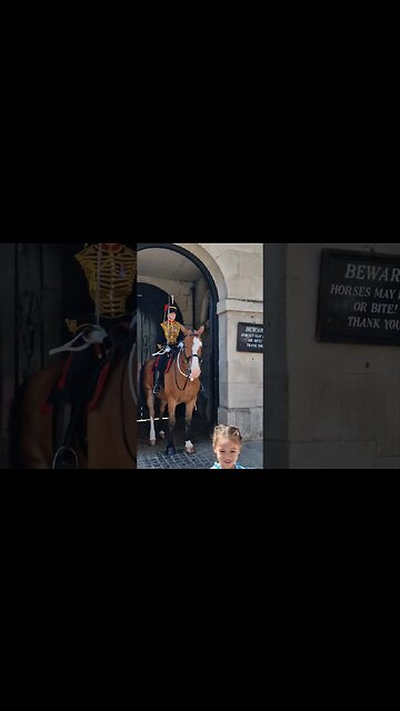 Horse wants the hand bag #horseguardsparade