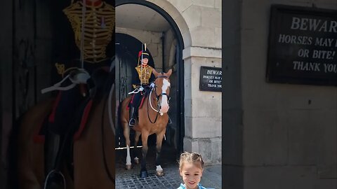 Horse wants the hand bag #horseguardsparade