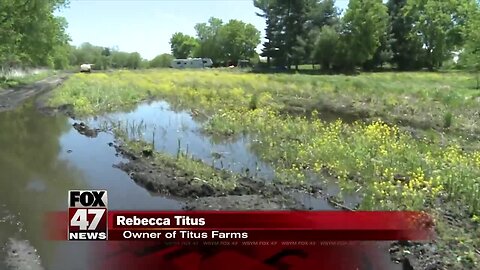 Rainy May delays Mid-Michigan planting season