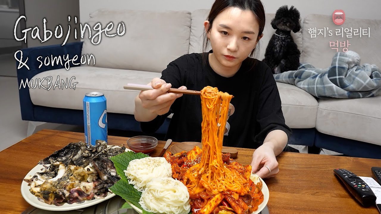 Ojingeo-bokkeum(Spicy stir-fried squid) & Steamed squid ☆ ft. Noodle,Beer