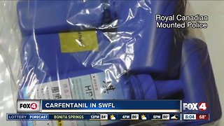 Carfentanil on the rise in Southwest Florida