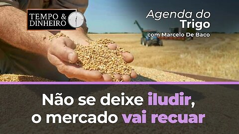 Não se deixe iludir, o mercado vai recuar, saia vendido nos custos de produção.