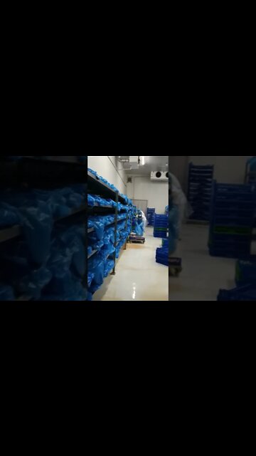 hard Work #shorts #work #job