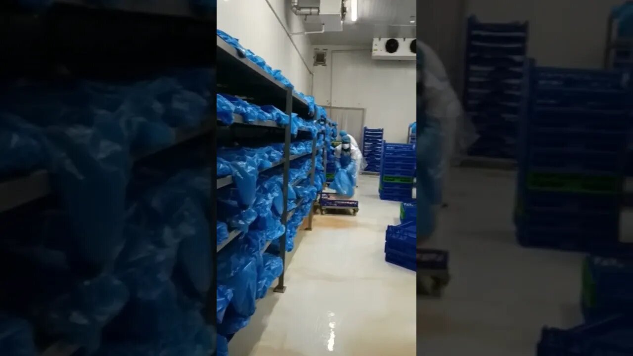 hard Work #shorts #work #job