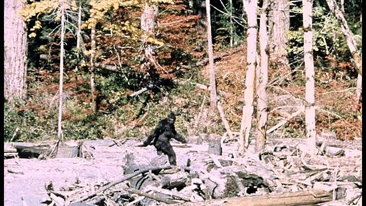 Patterson-Gimlin Film