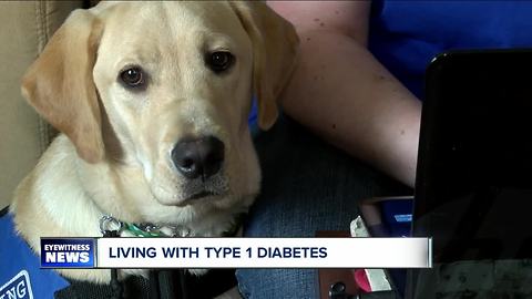 A four-legged lifesaver: Meet Wrenn the Diabetic Alert Dog