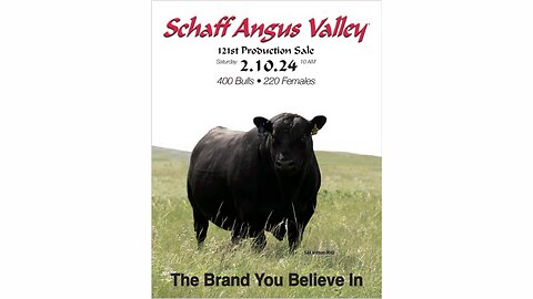 Schaff Angus Valley 2024 Annual Production Sale Catalog, St. Anthony, North Dakota