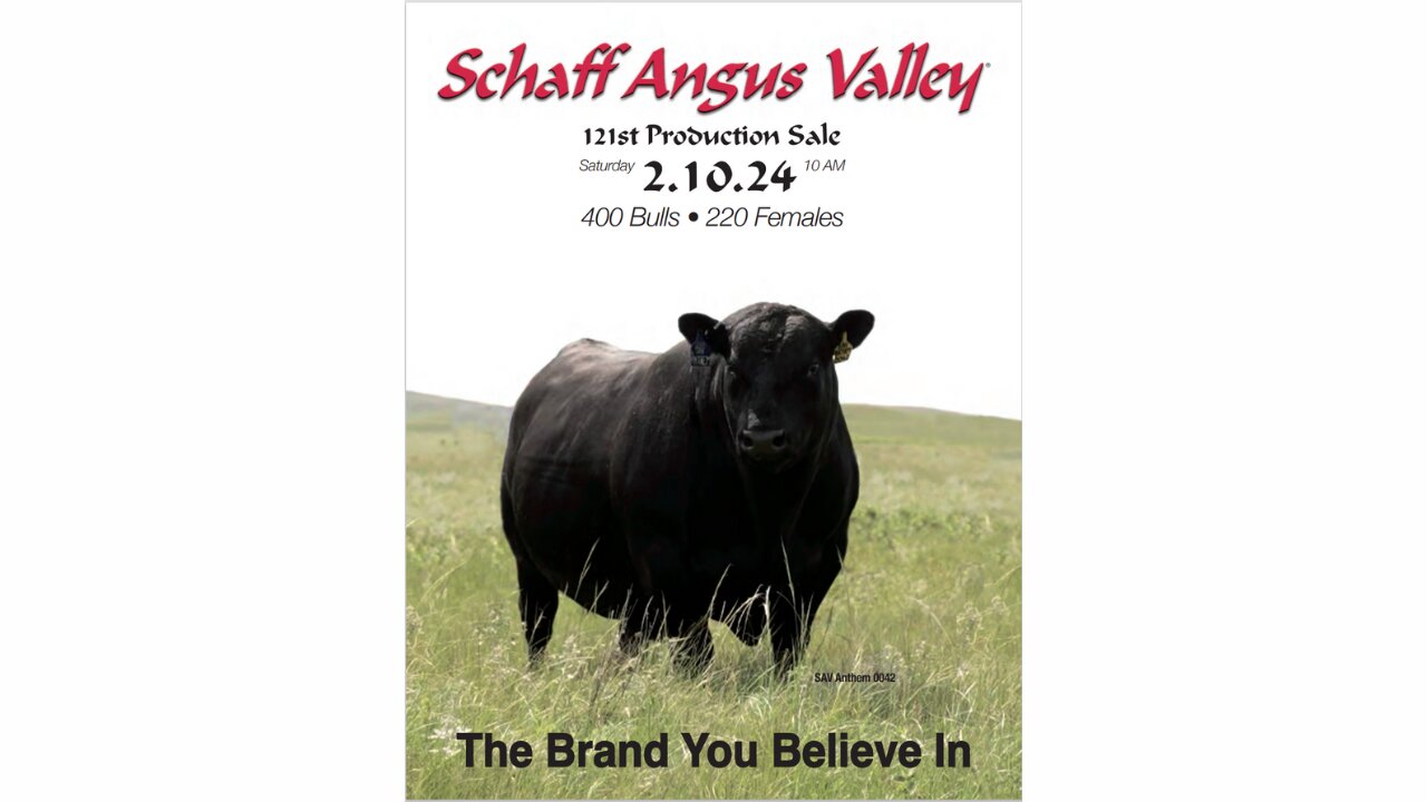 Schaff Angus Valley 2024 Annual Production Sale Catalog, St. Anthony, North Dakota