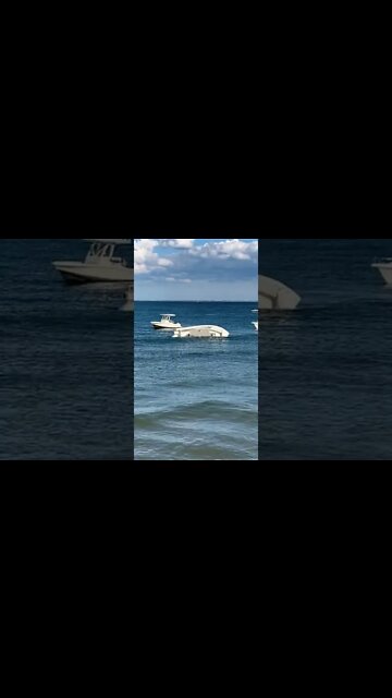 How did this happen?!