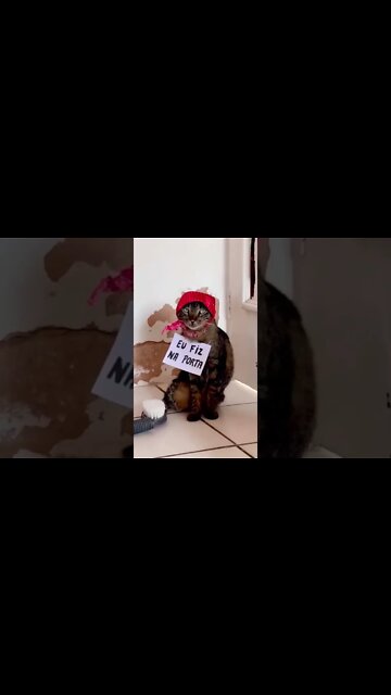 Covid Clean up crew #short