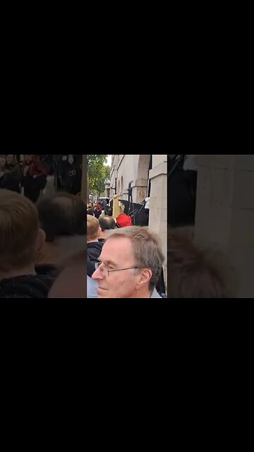 Tourist gets a fright horse laughs #horseguardsparade