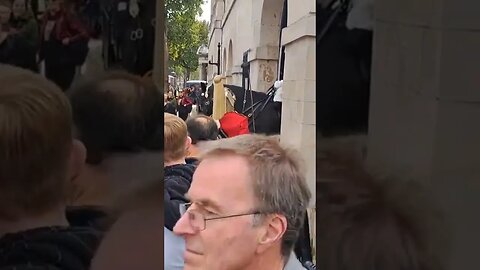 Tourist gets a fright horse laughs #horseguardsparade