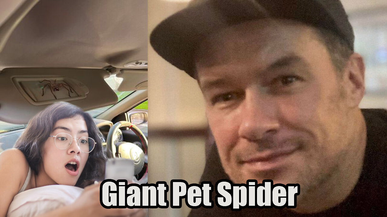 Australian Man Makes Pet Of Giant Spider🕷 He Found in His Car🚗🚗