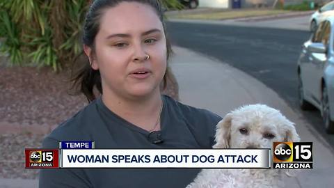 Tempe woman and pet allegedly attacked by 2 dogs