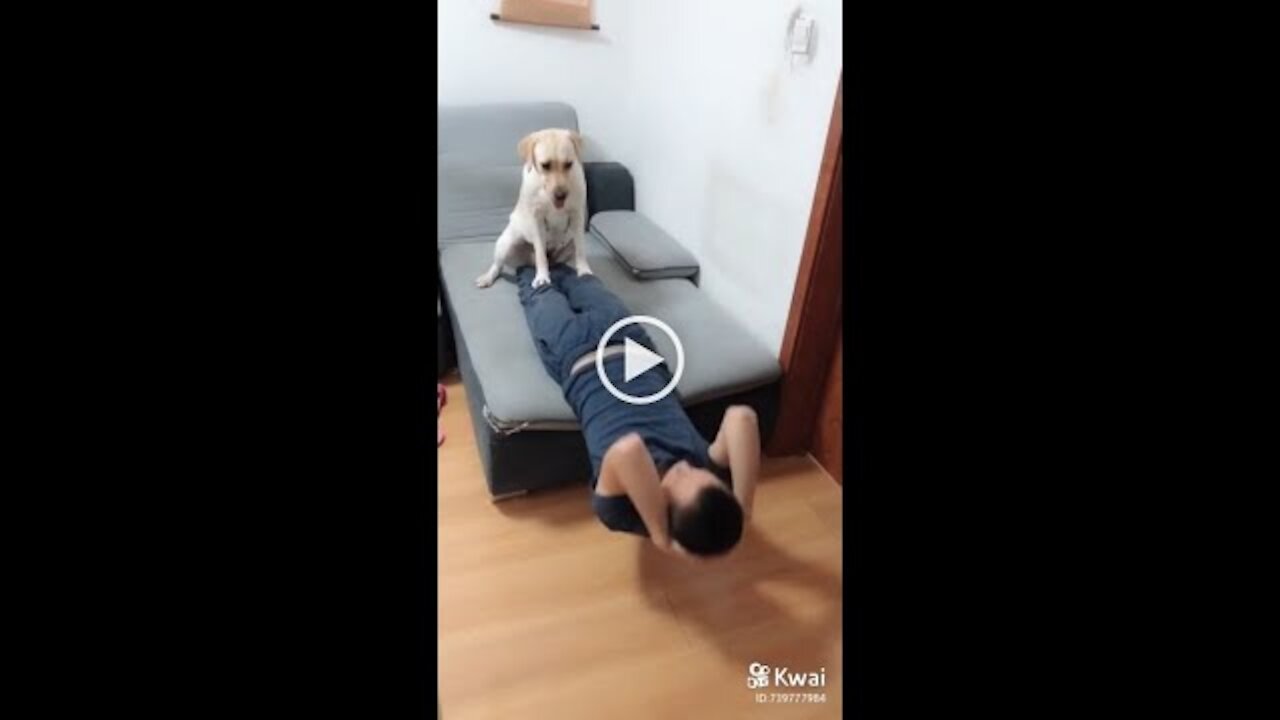 Amazing Dog Help the Owner Workout So FUNNY! 2021