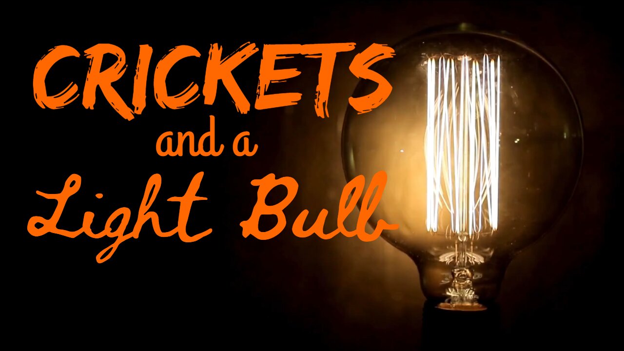 Crickets and a Light Bulb | Crickets and Light | What Else Is There?