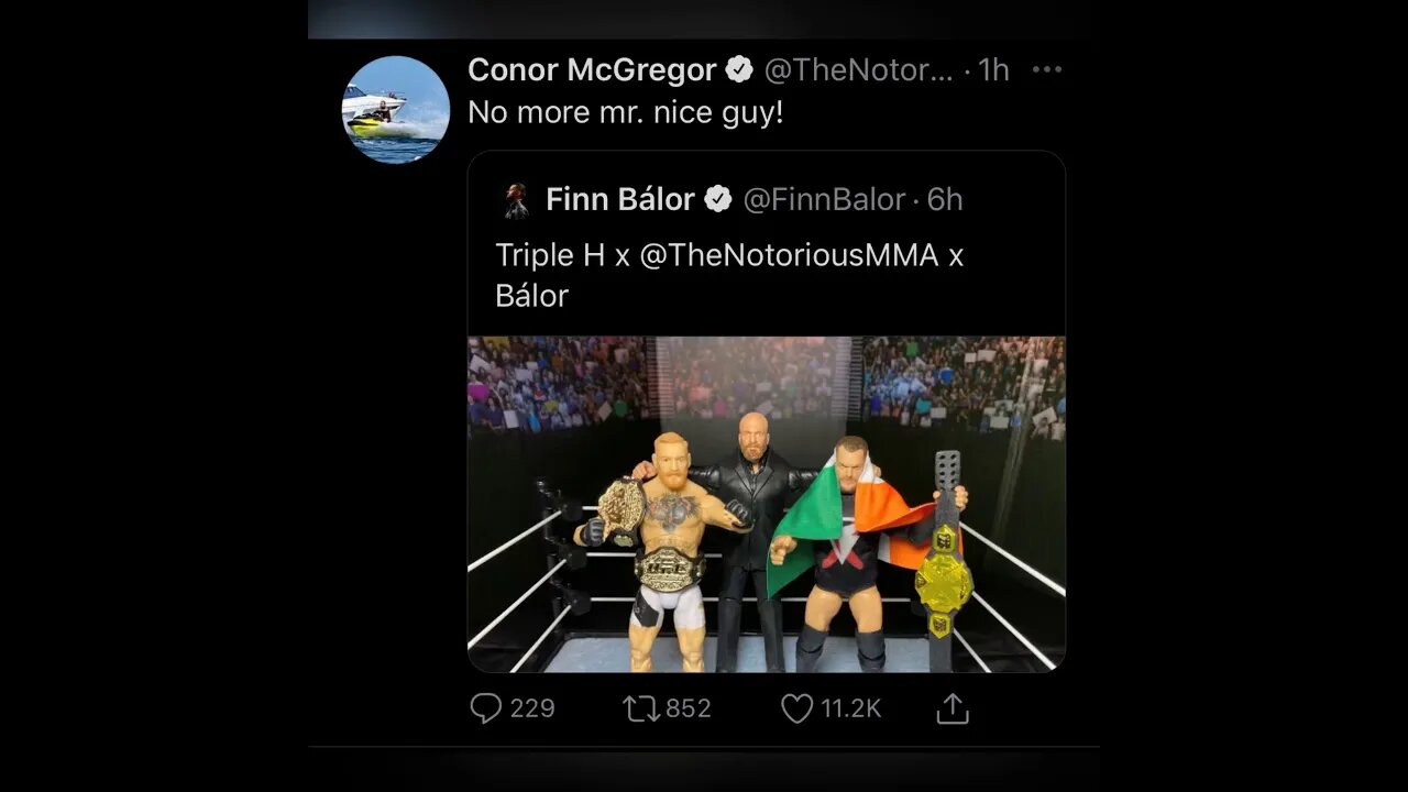 Conor Mcgregor hints at WWE debut against Triple H