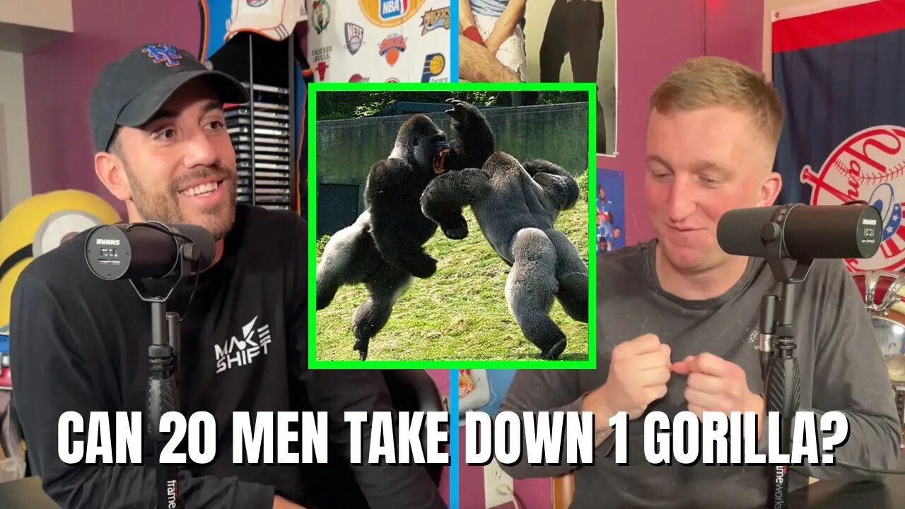 One GORILLA vs 20 MEN... WHO WINS!? 🦍