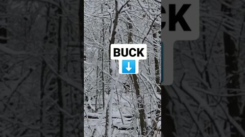 Tiny Can V BUCK