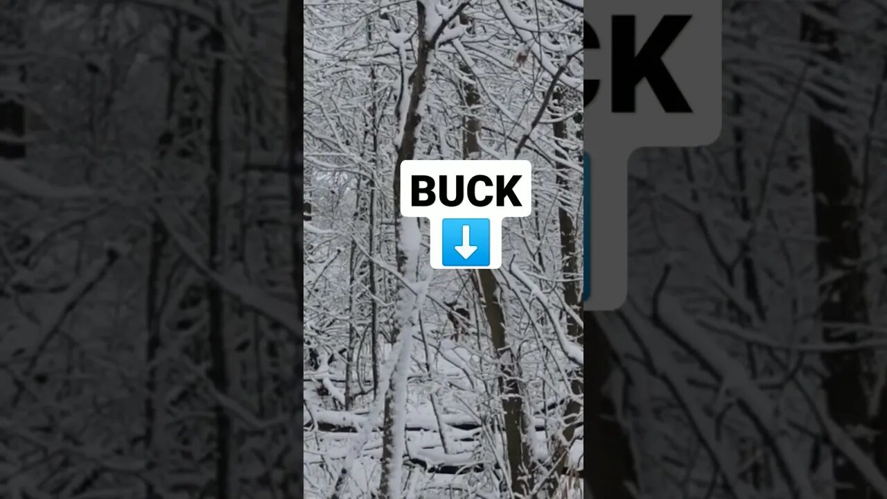 Tiny Can V BUCK