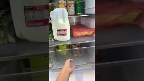 Ma'am this fridge is really good ngl Video By ughseel #Shorts