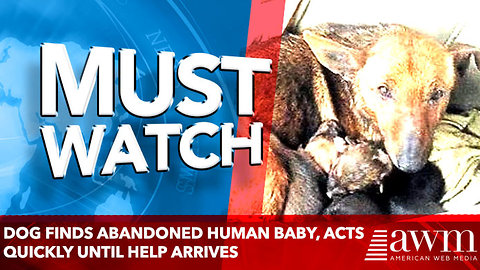 Brave mother dog finds abandoned human baby, acts quickly until help arrives