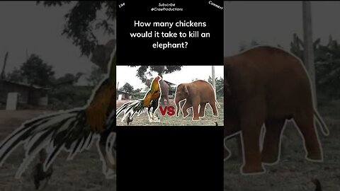 How many chickens would it take to kill an elephant