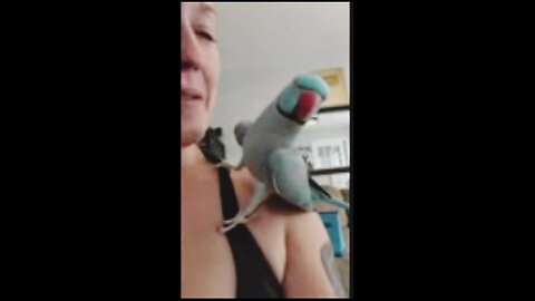 adorable parrot 🦜