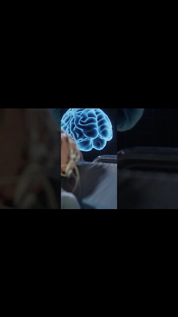 𝗧𝗲𝘀𝘁𝗼𝘀𝘁𝗲𝗿𝗼𝗻𝗲 & 𝗦𝗲𝘅 𝗗𝗿𝗶𝘃𝗲 - The Truth