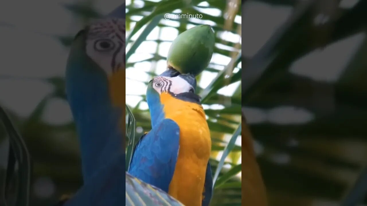 A natureza é perfeita! Qual a Legenda? INSCREVA-SE e Compartilhe...