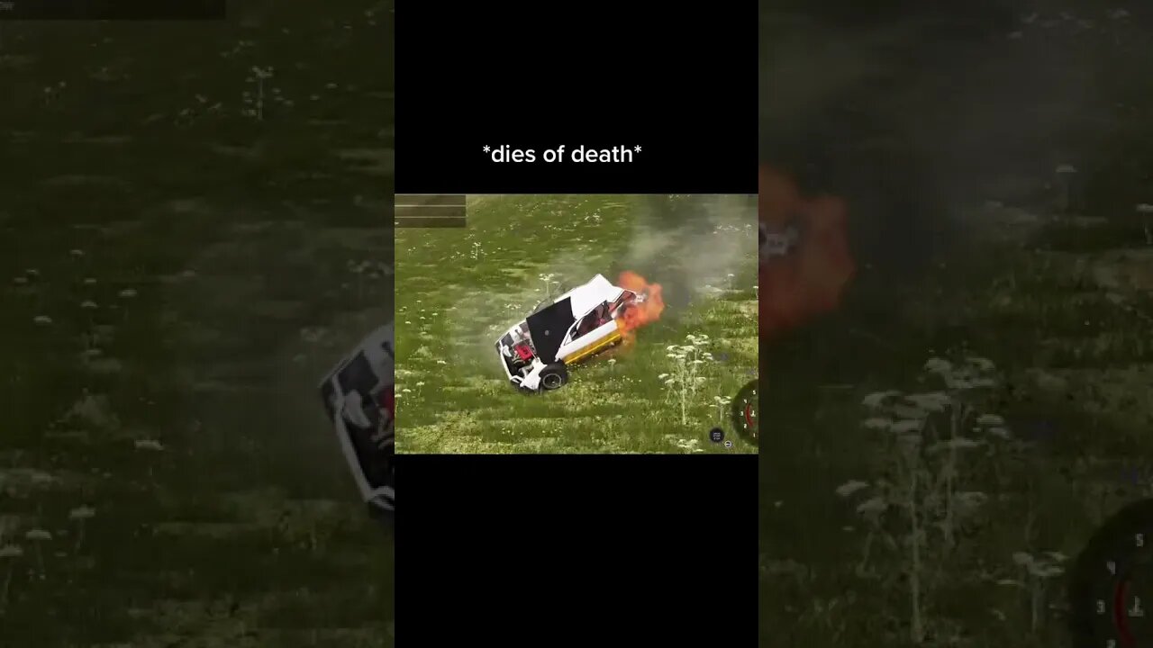 roller coaster / BeamNG DRIVE