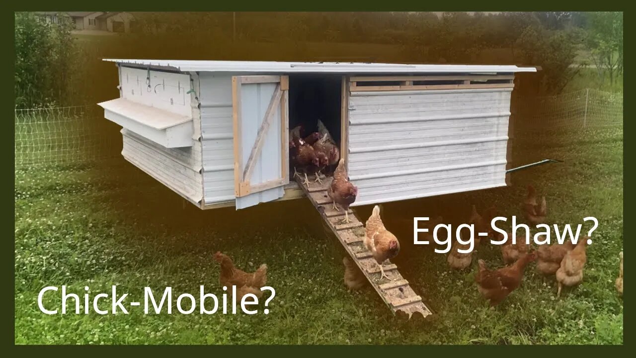 Mobile pasture LAYER SHELTER with homemade ROLLAWAY NEST BOX. .