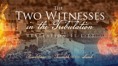 David and the Lord - The two witnesses revealed