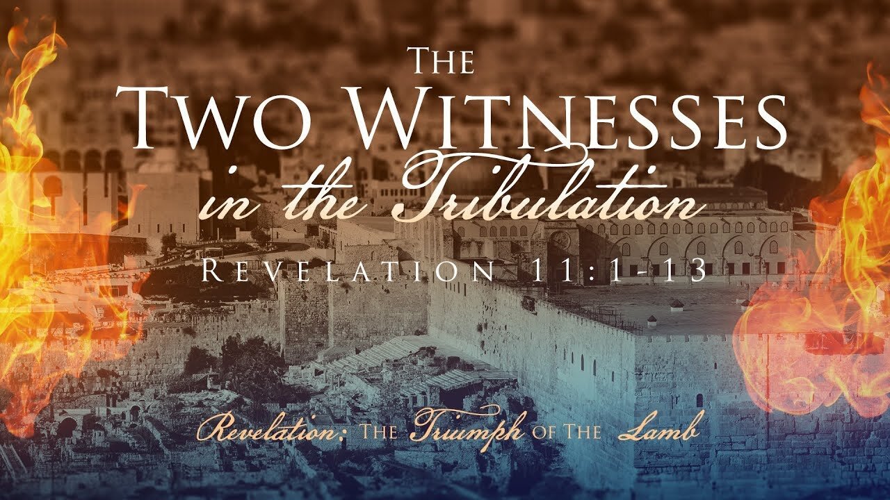 David and the Lord - The two witnesses revealed
