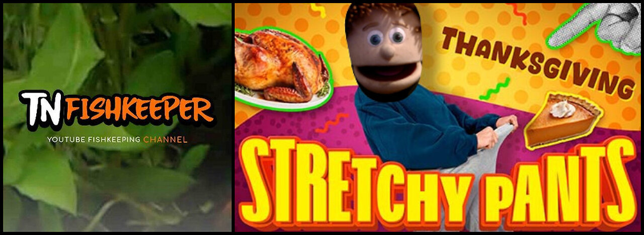 TNFISHKEEPER.COM™ 🐠 STRETCHY PANTS? FROM CURLY #COMEDY #FUNNY #TNFISHKEEPER