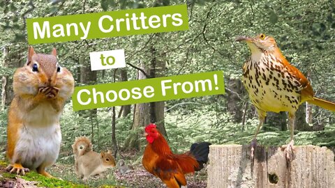 Many Critters to Choose From