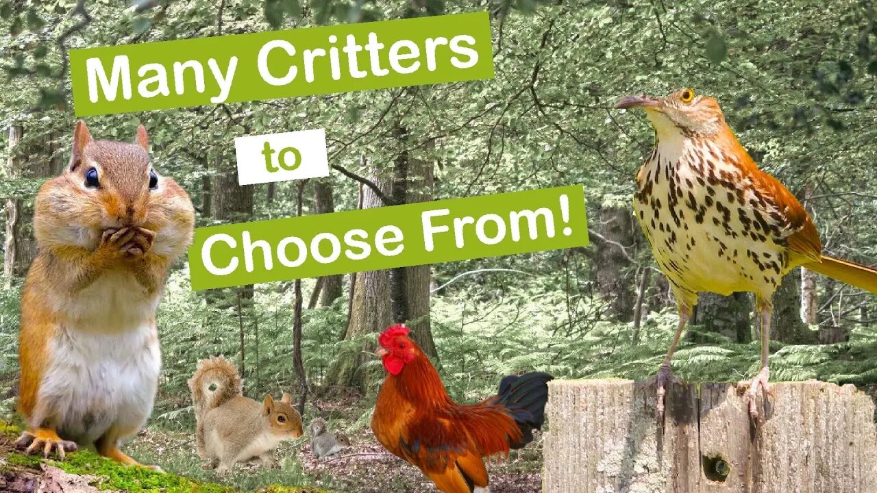 Many Critters to Choose From