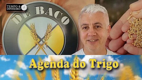 É importante que sejamos os agentes da transformação que buscamos, e o gado coitado não pensa...