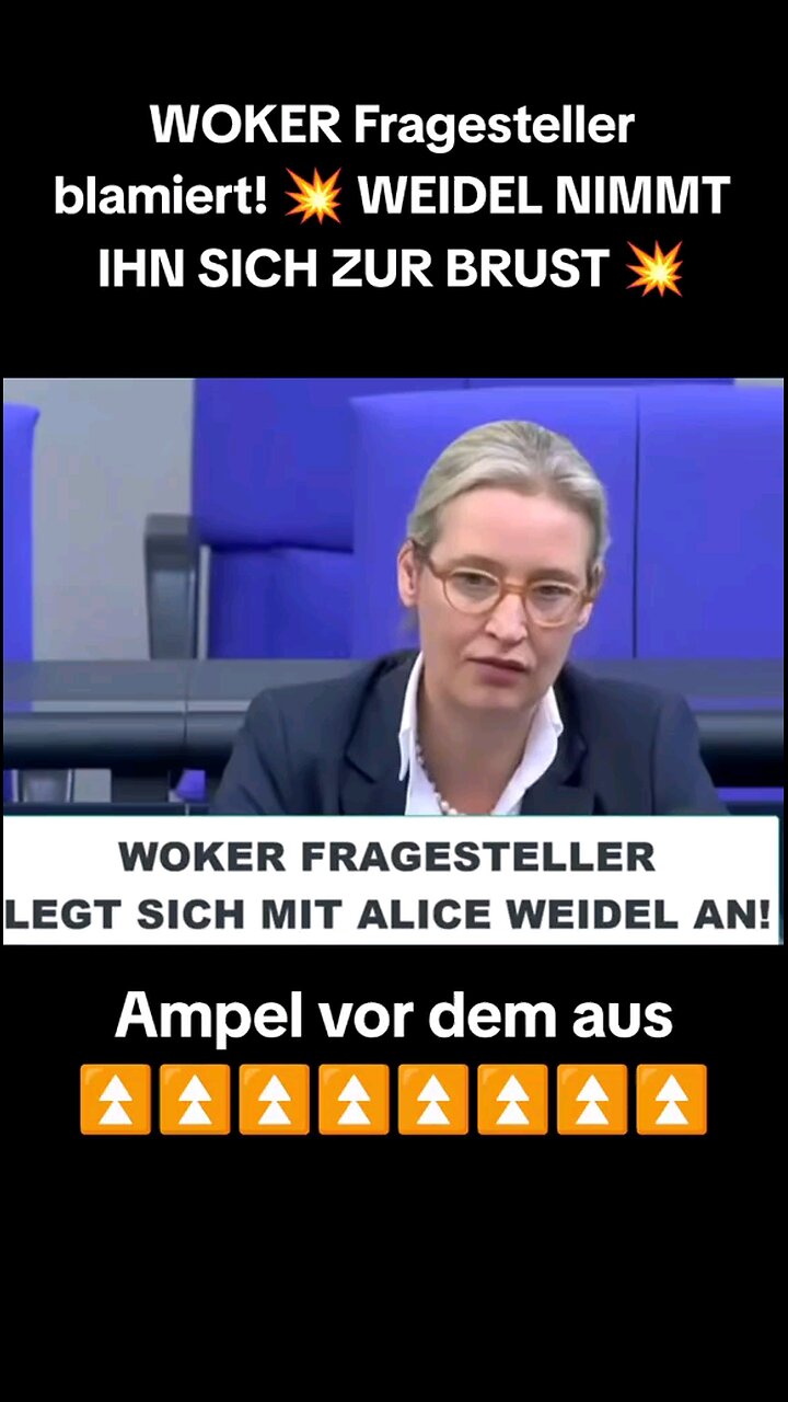 ⁣Woker Fragesteller wird blamiert. Weidel vs LGBTQ