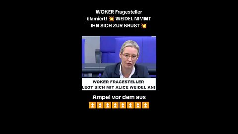 Woker Fragesteller wird blamiert. Weidel vs LGBTQ