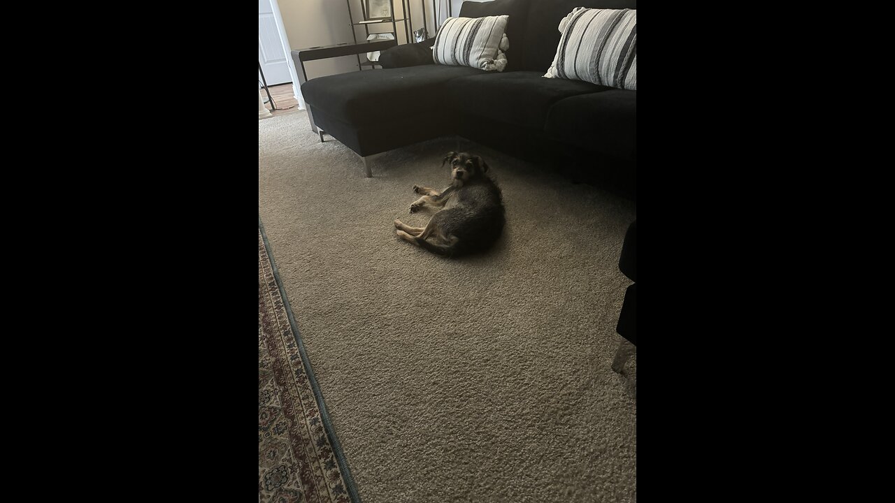 Multi being him