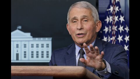 U.S NEWSGood News of the Week June 8 – Fauci and the Swamp Runs Deep!