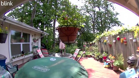 SOUTH_VIDEO_DOORBELL_2023-05-22T11_58_32-0400.mp4