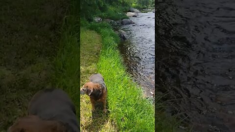 Another Beautiful Day on the AuSable