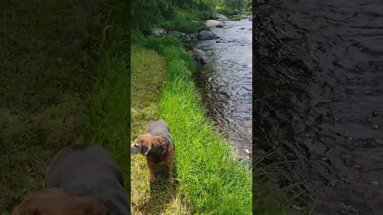 Another Beautiful Day on the AuSable