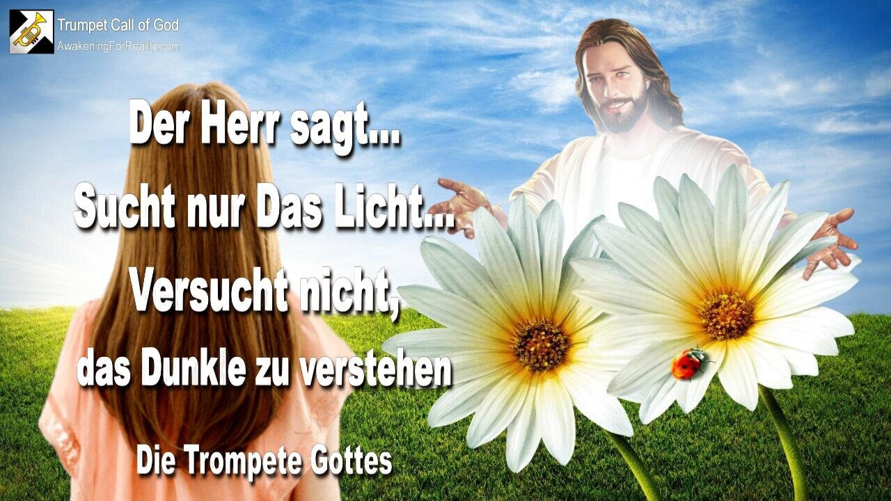 14.11.2004 🎺 Suche nur das Licht... Versuche nicht, das Dunkle zu verstehen... Die Trompete Gottes